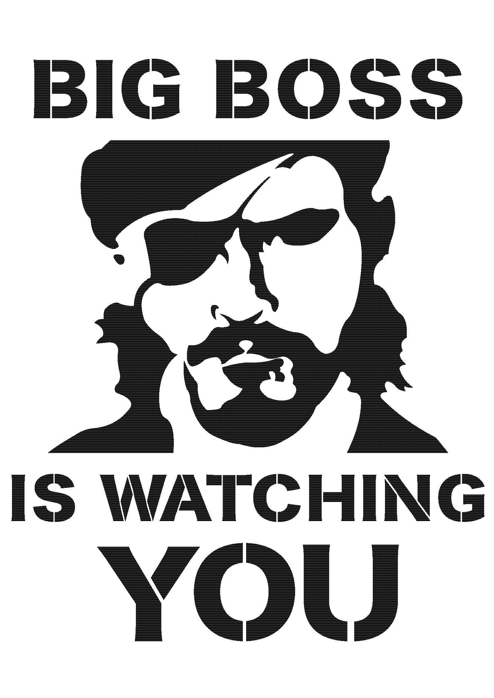 Big Boss is Watching You