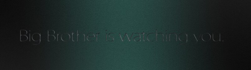 Big Brother is watching you