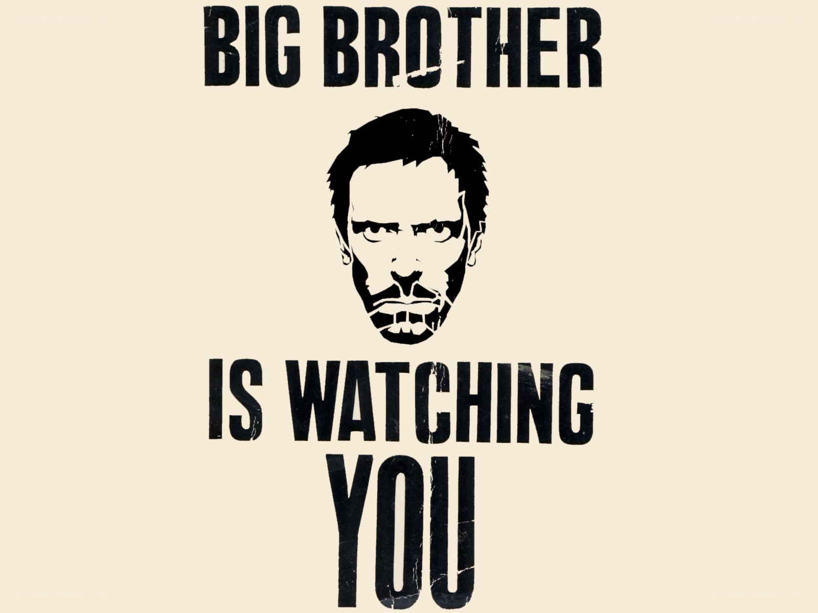 Big Brother is Watching You