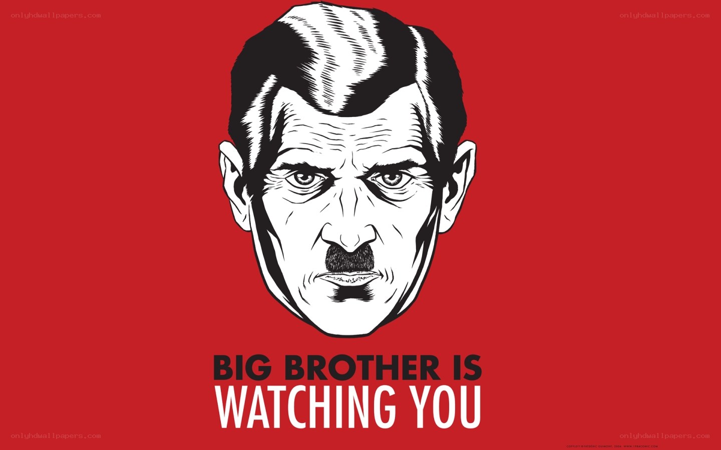 Big Brother Watching You