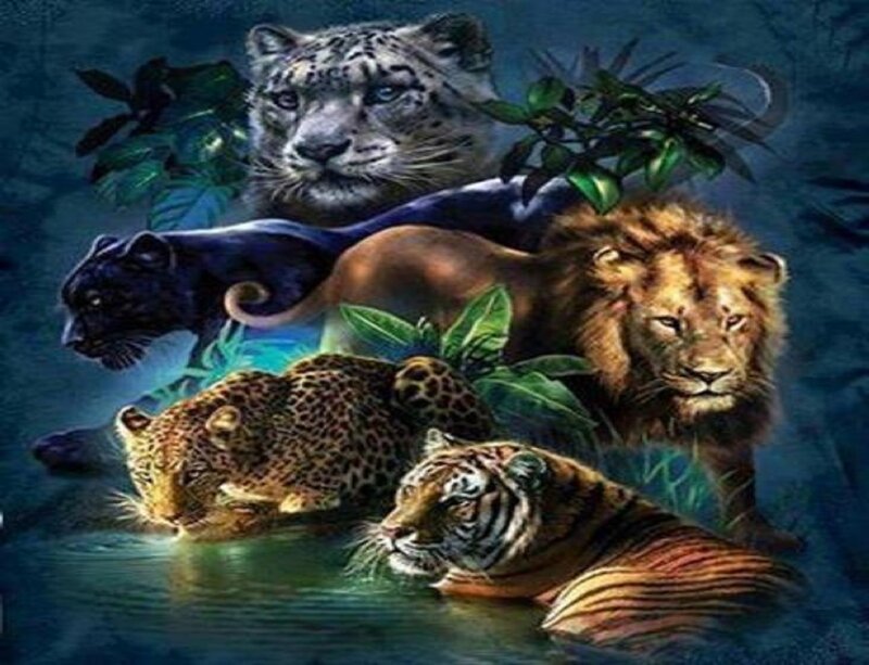 Big Cats in Water — Blue