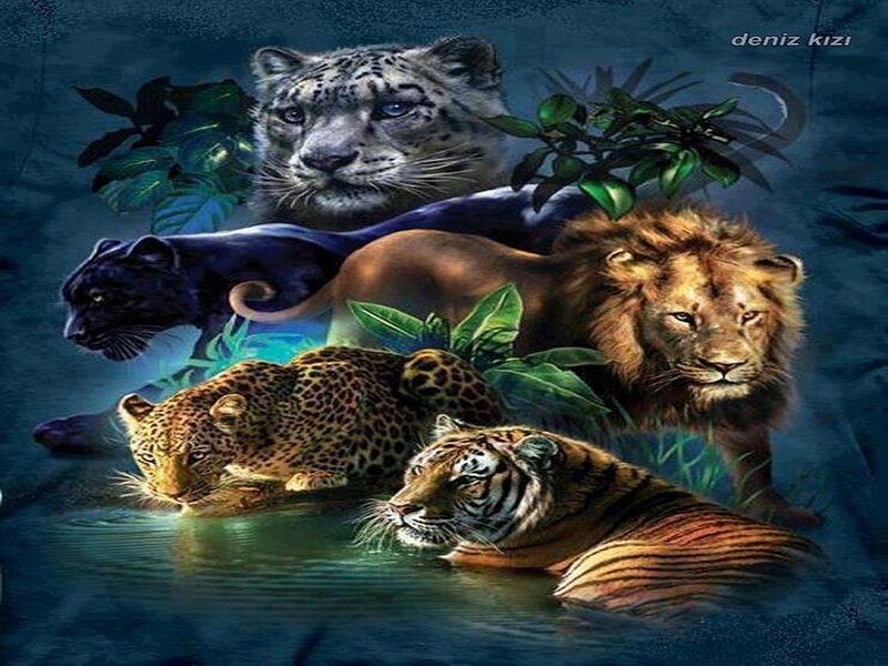 Big Cats in Water