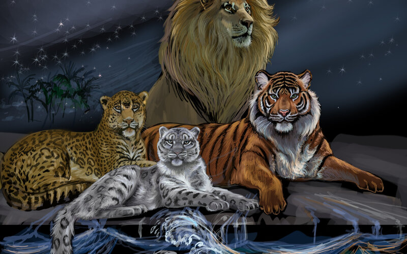 Big Cats on a Rock — Brown