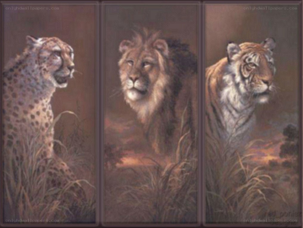 Big Cats Triptych Art