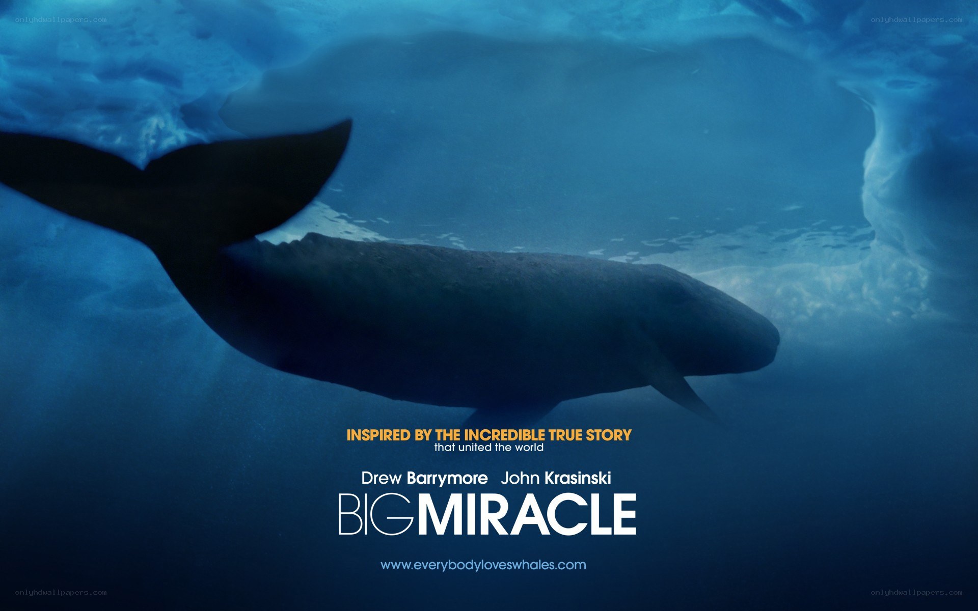Big Miracle movie poster