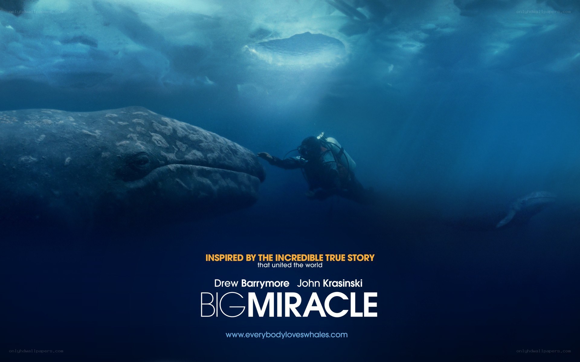 Big Miracle movie poster