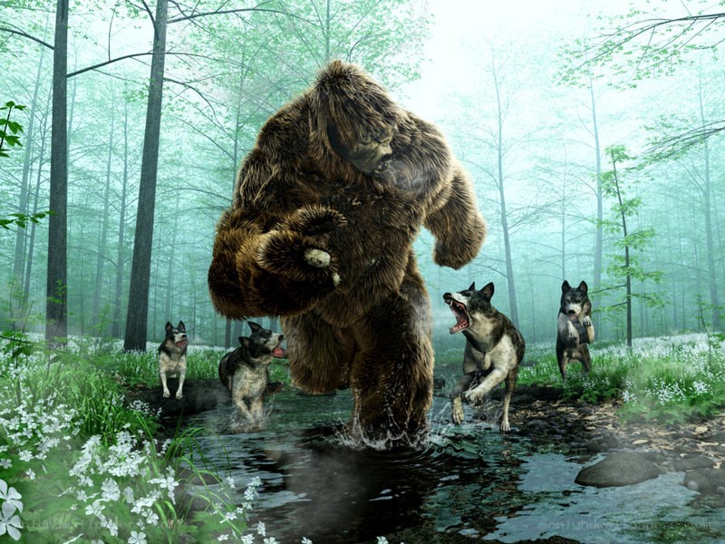 Bigfoot attacked by wolves