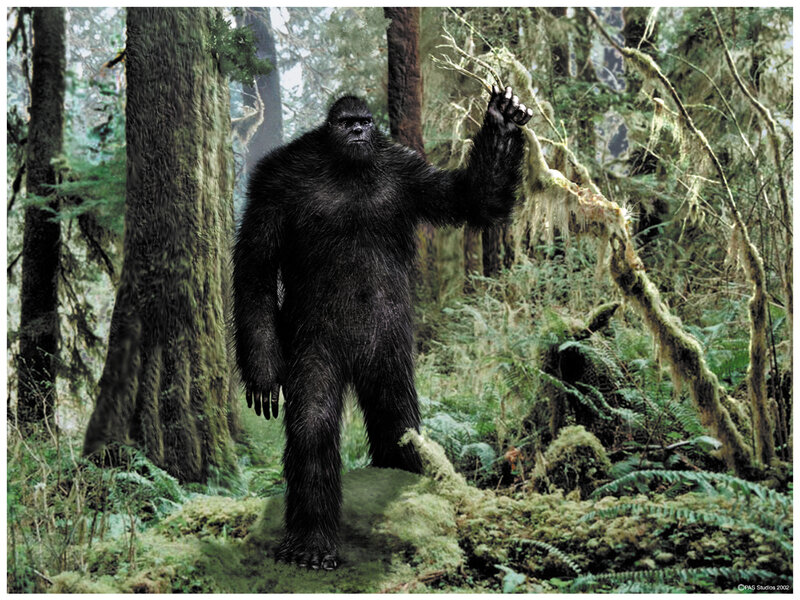 Bigfoot in Forest