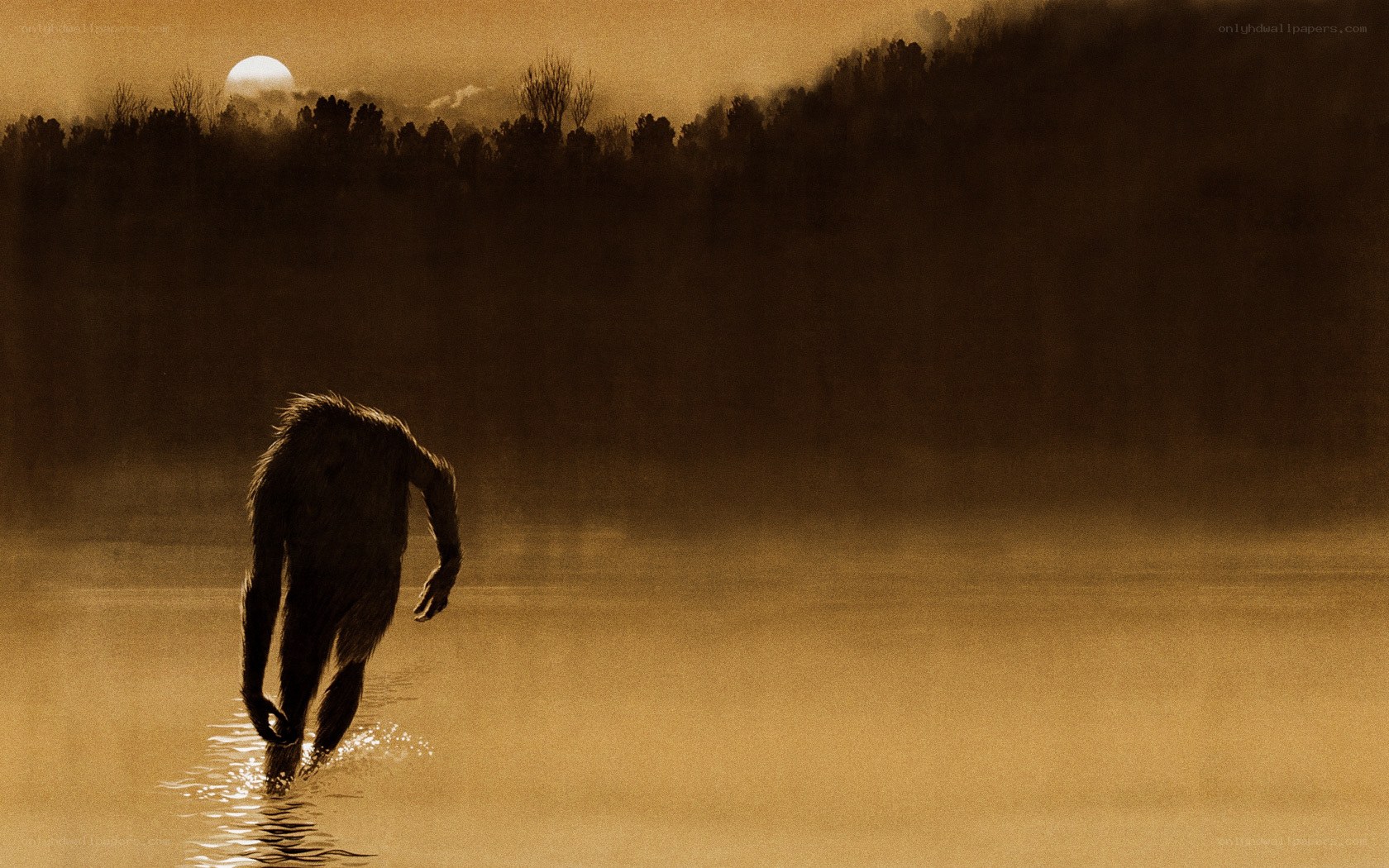 Bigfoot in the mist