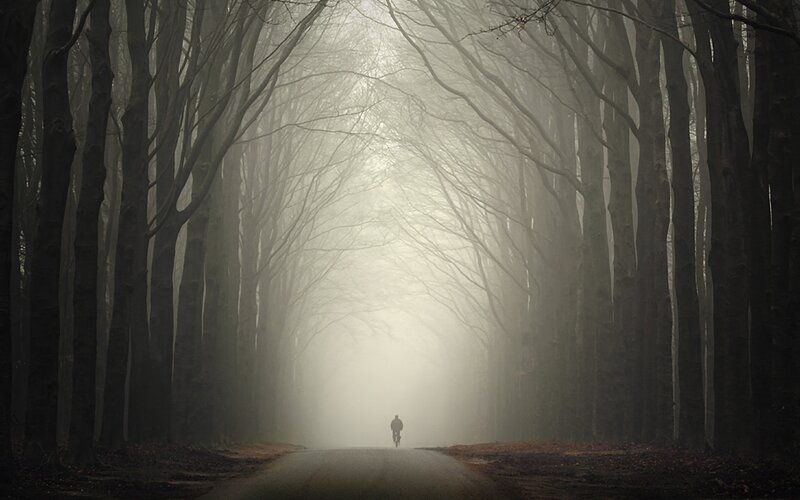 Biker in a foggy forest