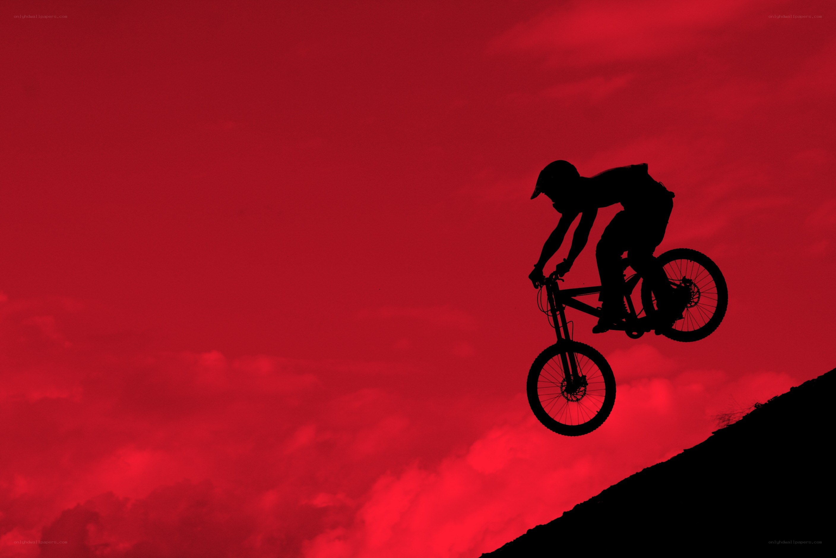 Biker in mid-air jump