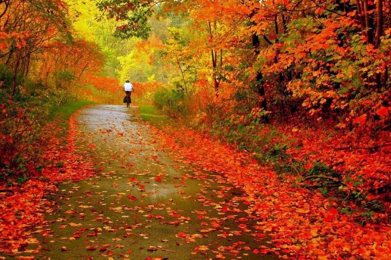 Biker on a fall path