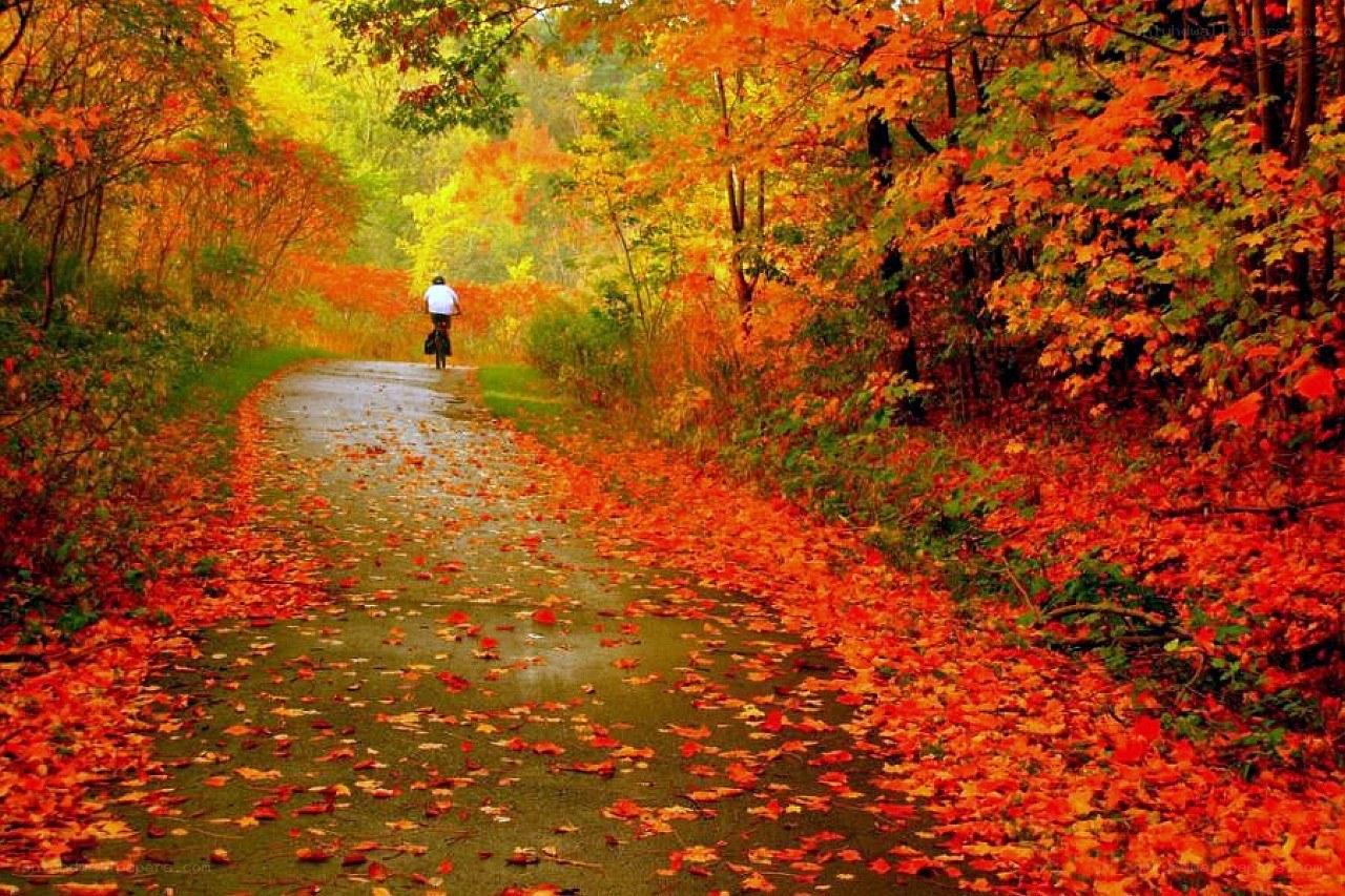 Biker on a fall path
