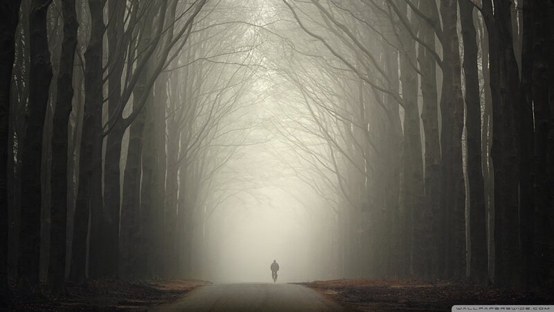 Biker on a foggy forest road
