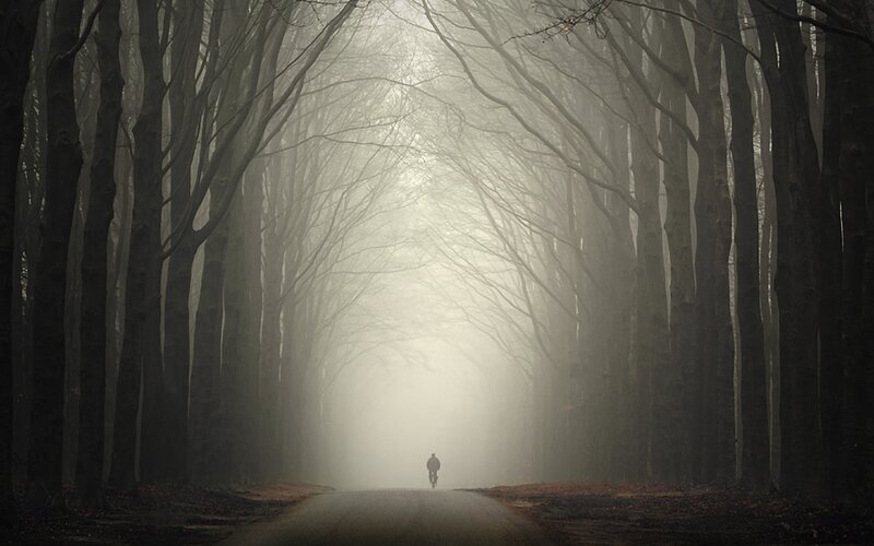 Biker on a foggy forest road