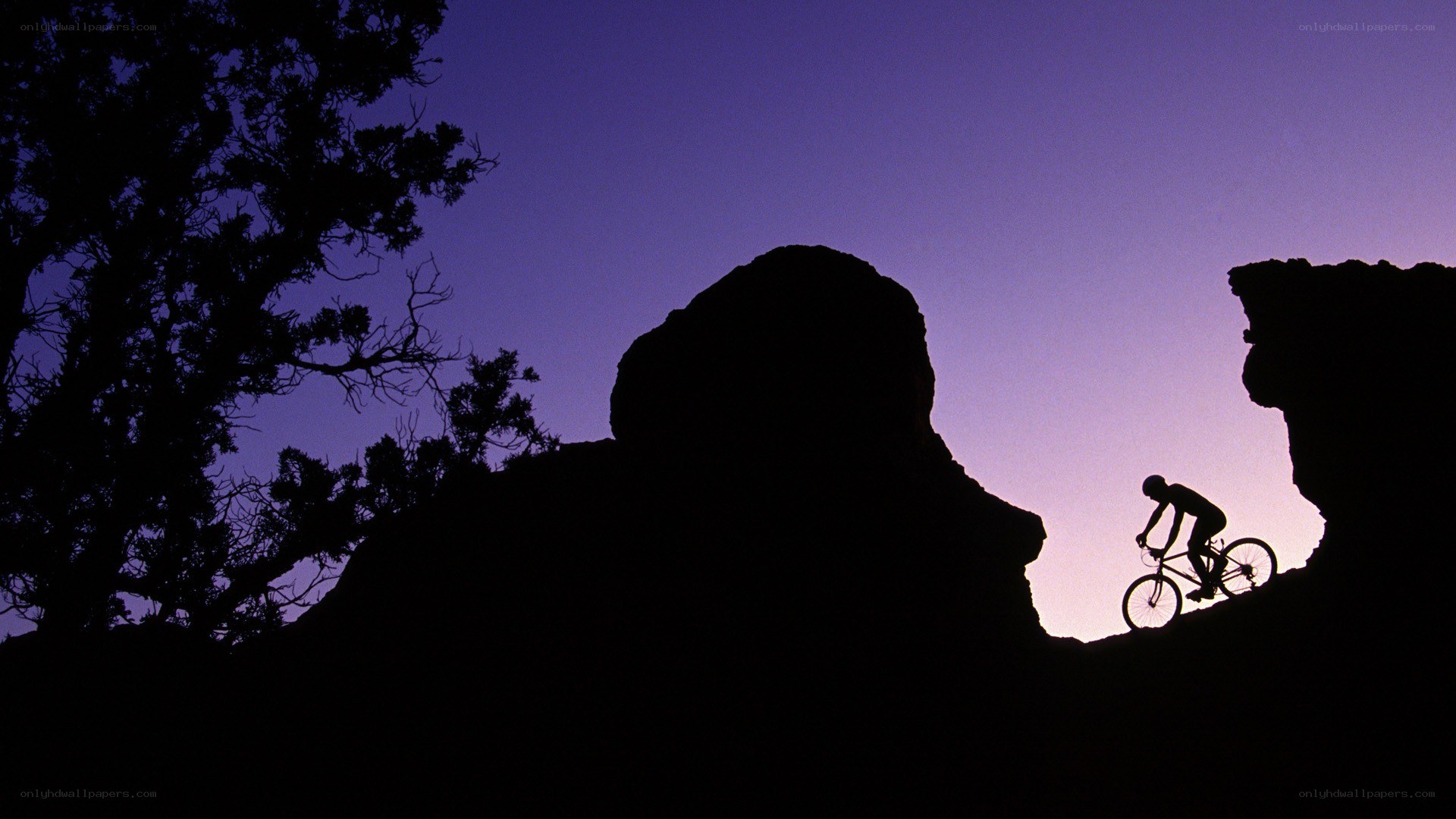 Biker on a rocky trail
