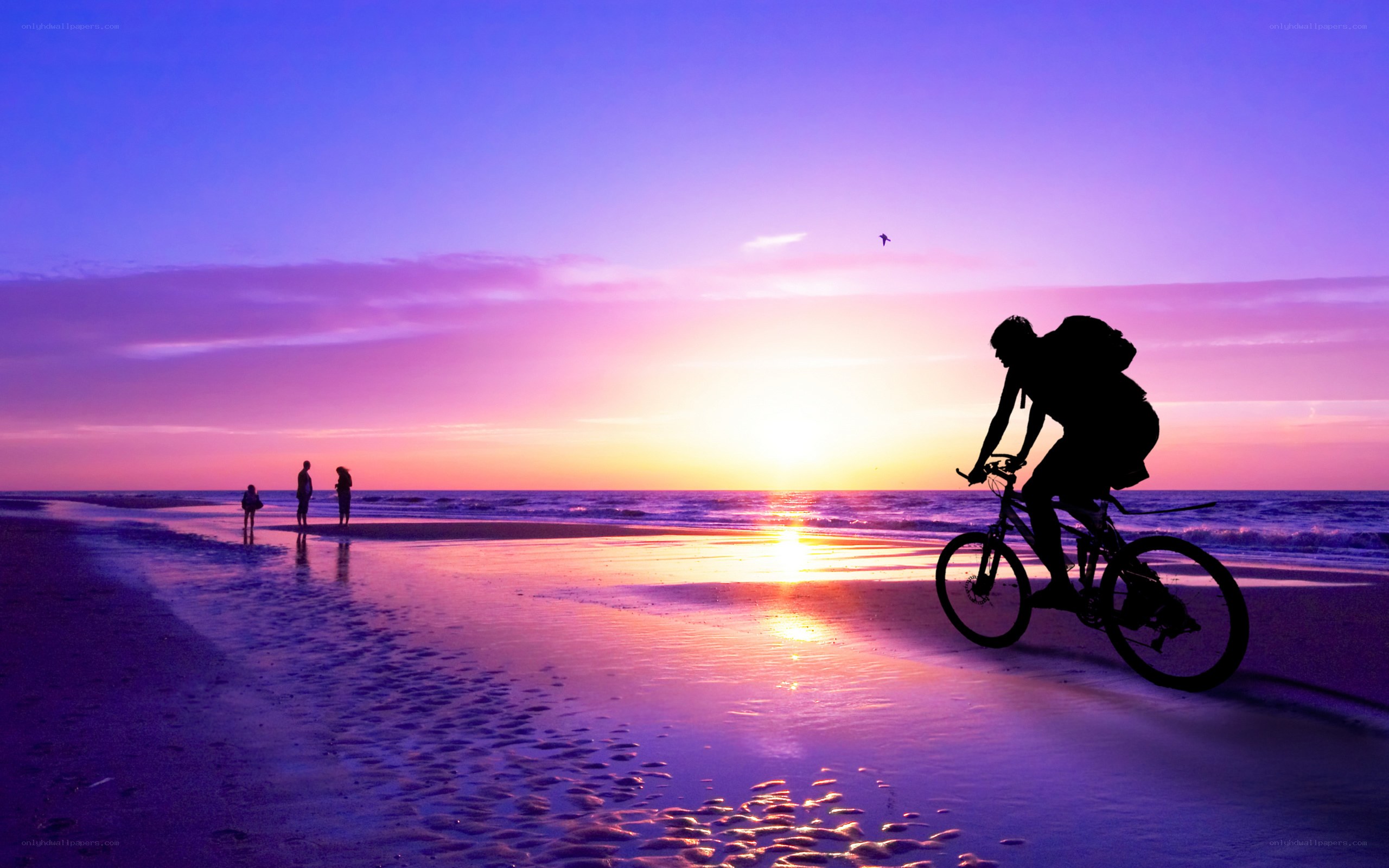 Biker on beach at sunset
