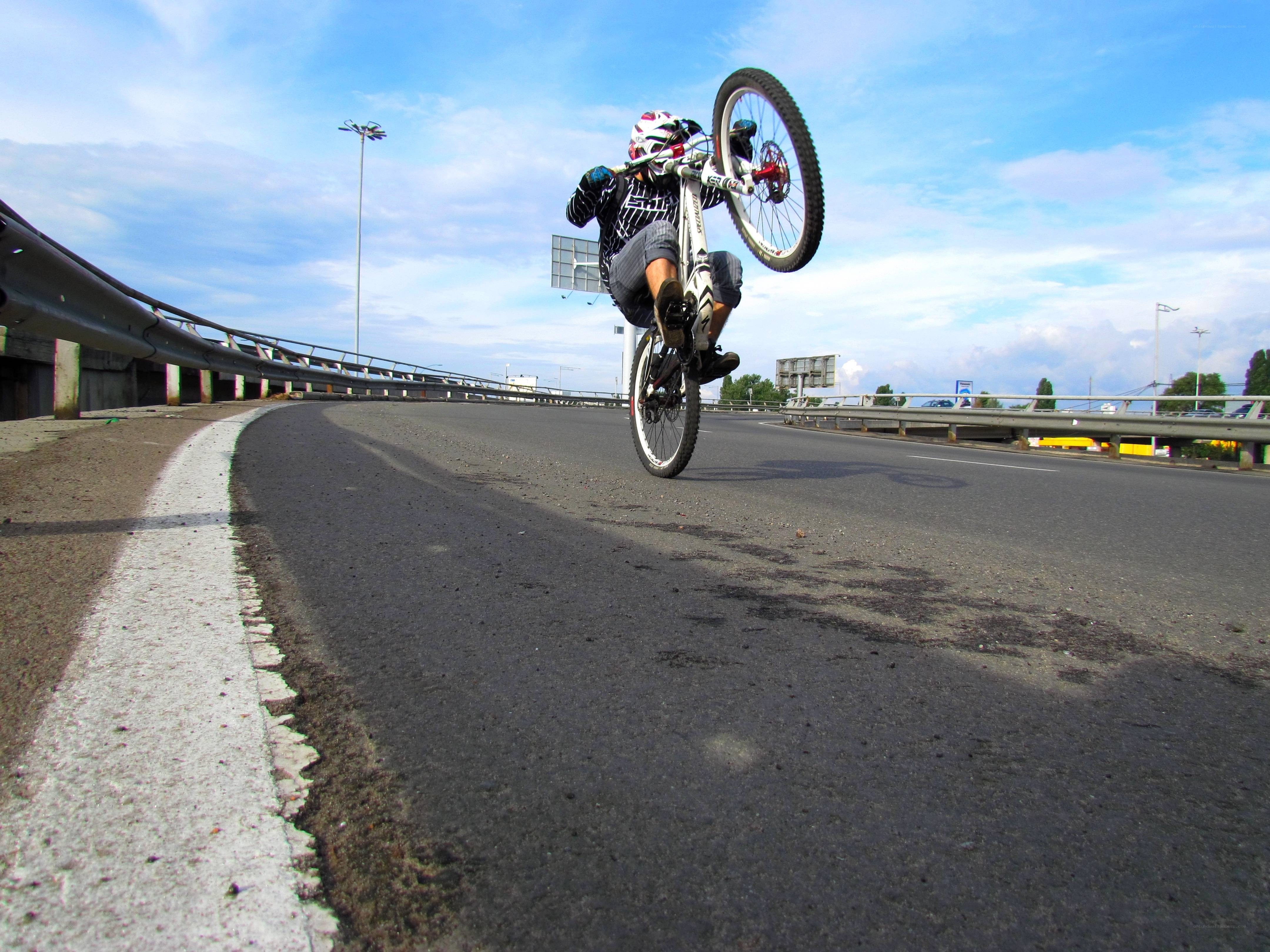Biker performing wheelie on road