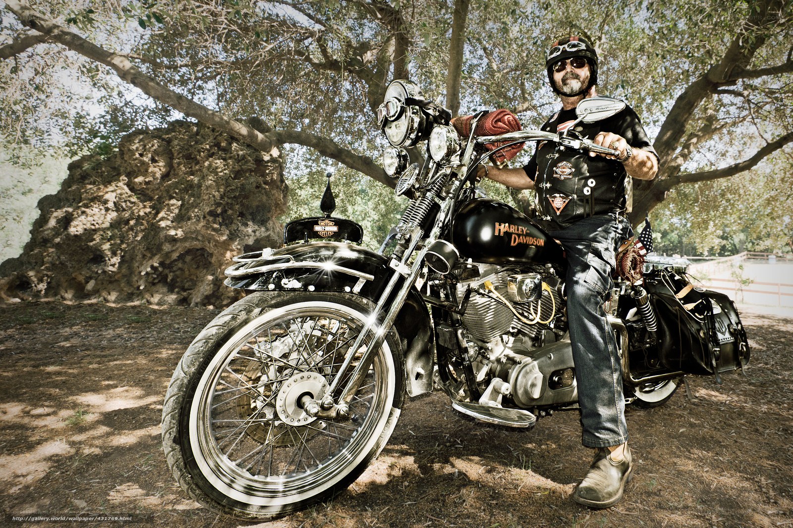 Biker with Harley-Davidson motorcycle