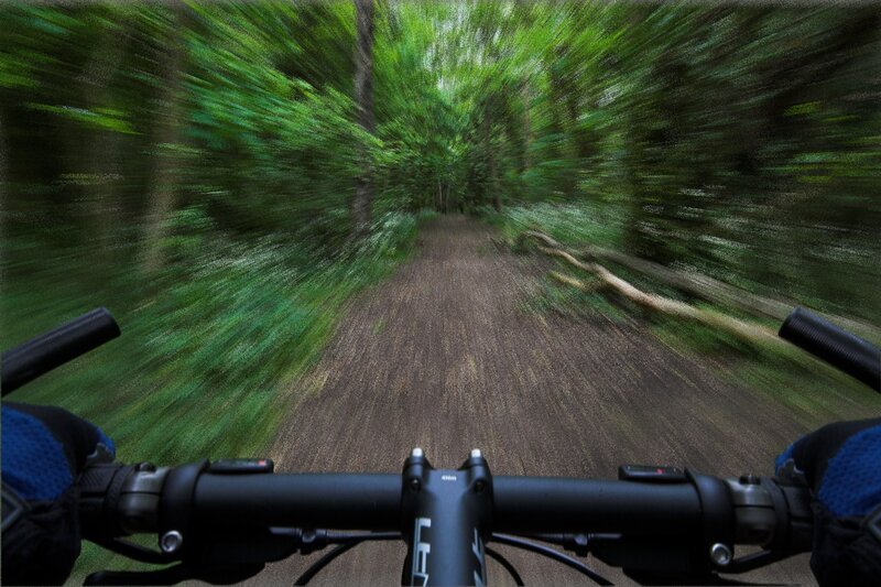Biking through a forest trail