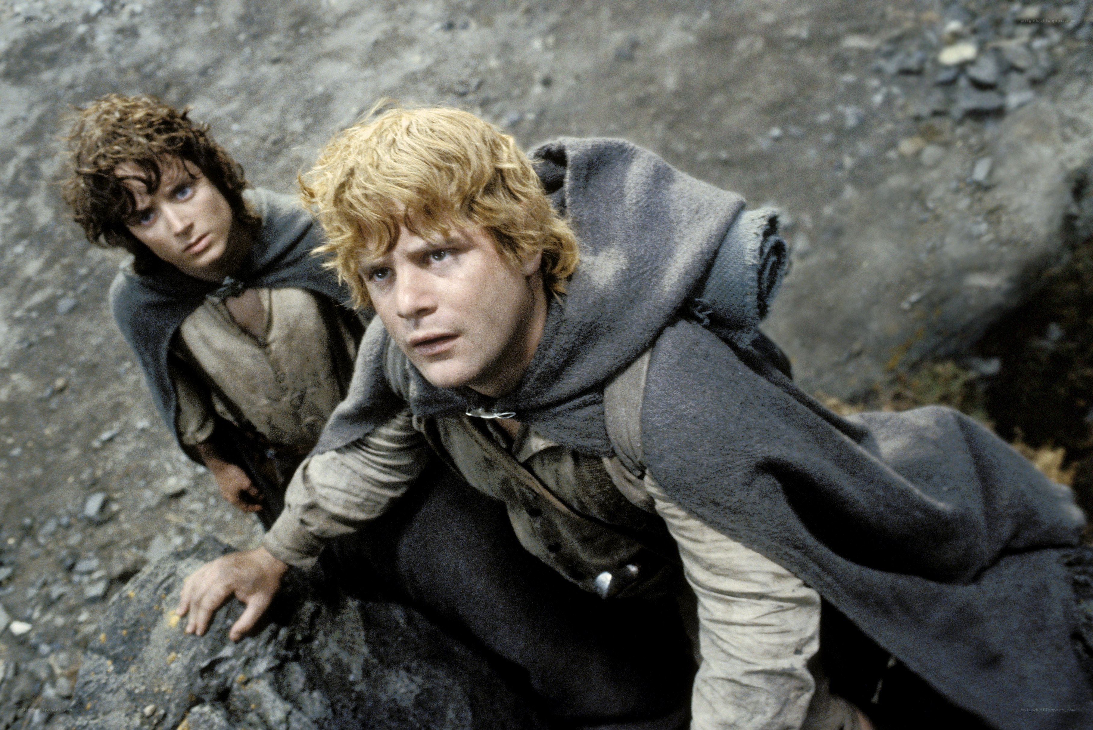 Bilbo and Frodo climbing