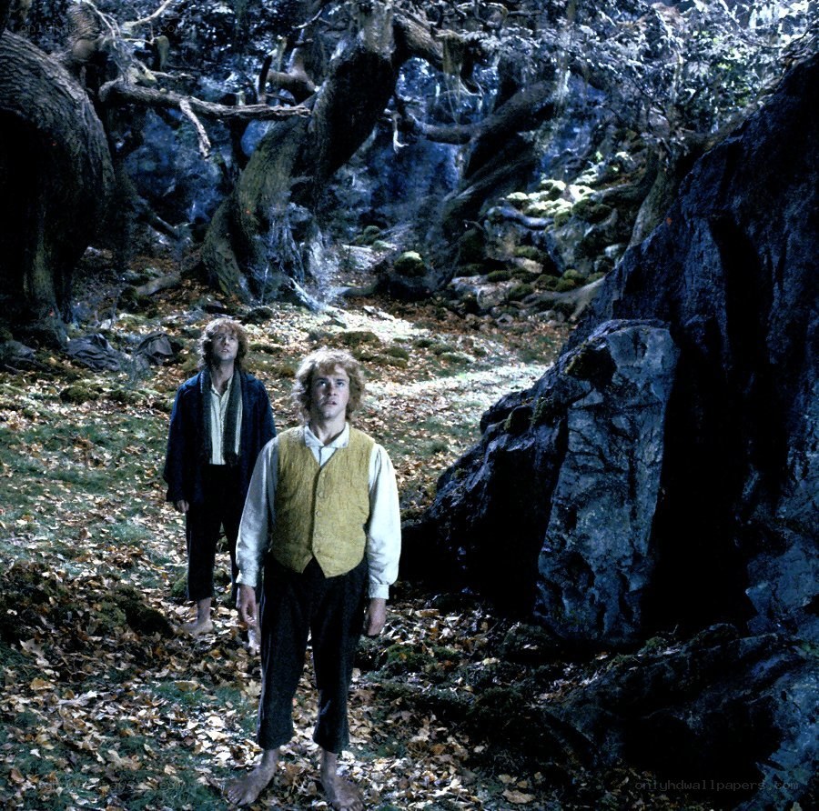 Bilbo and Frodo in a forest
