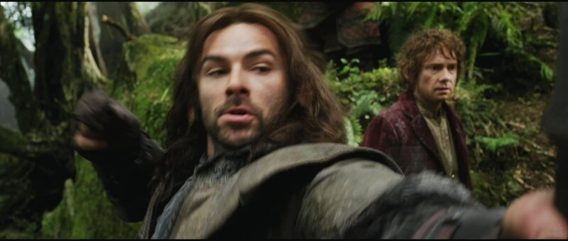 Bilbo and Kili in the forest