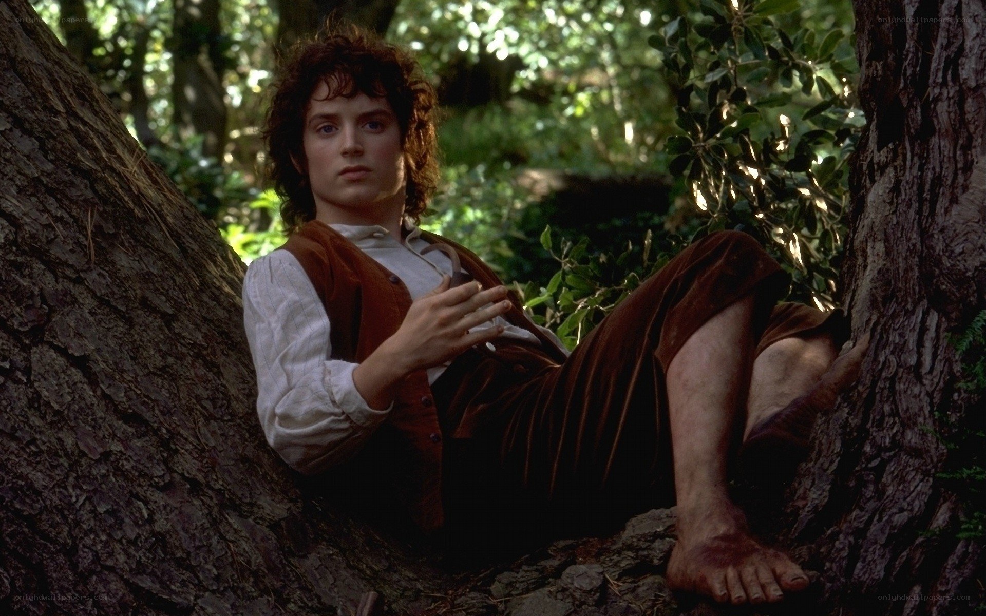 Bilbo Baggins in the forest