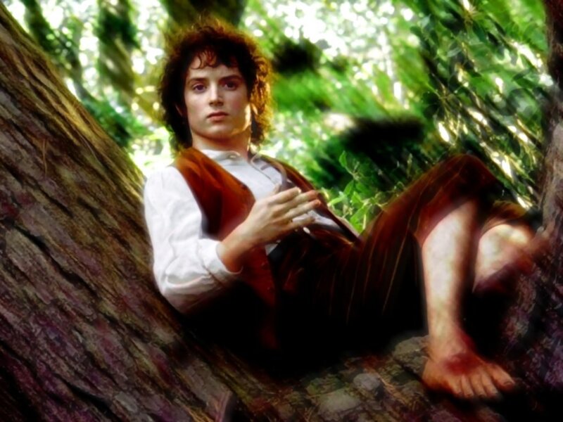 Bilbo Baggins in the forest