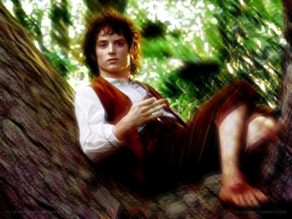 Bilbo Baggins in the forest