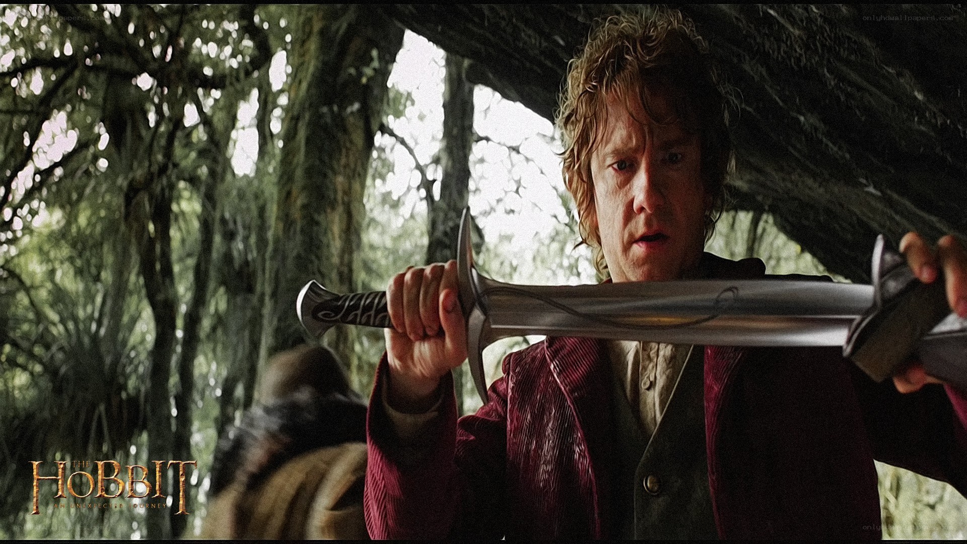 Bilbo with a sword in the forest