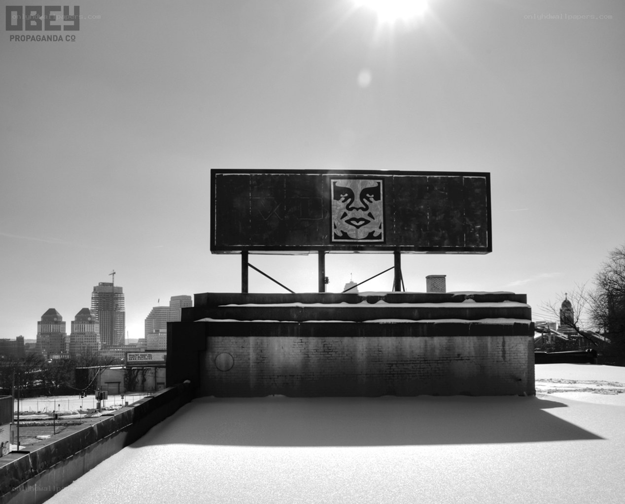 Billboard with face art in snow