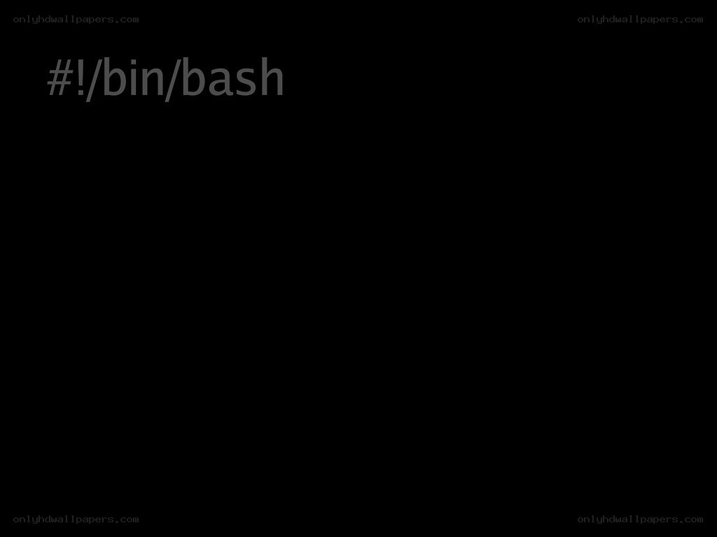 #!/bin/bash script