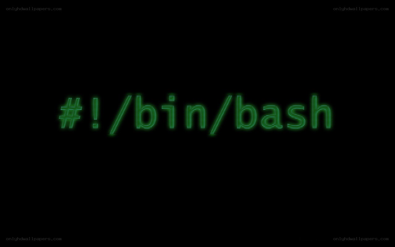 #!/bin/bash script