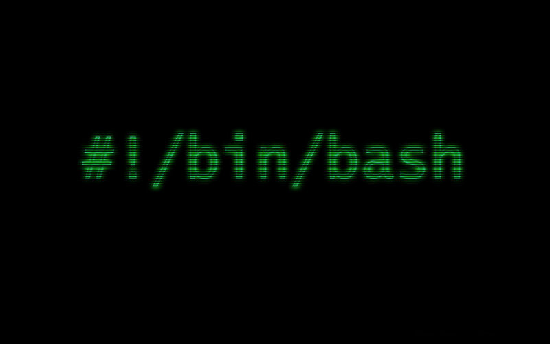 #!/bin/bash Text — Green