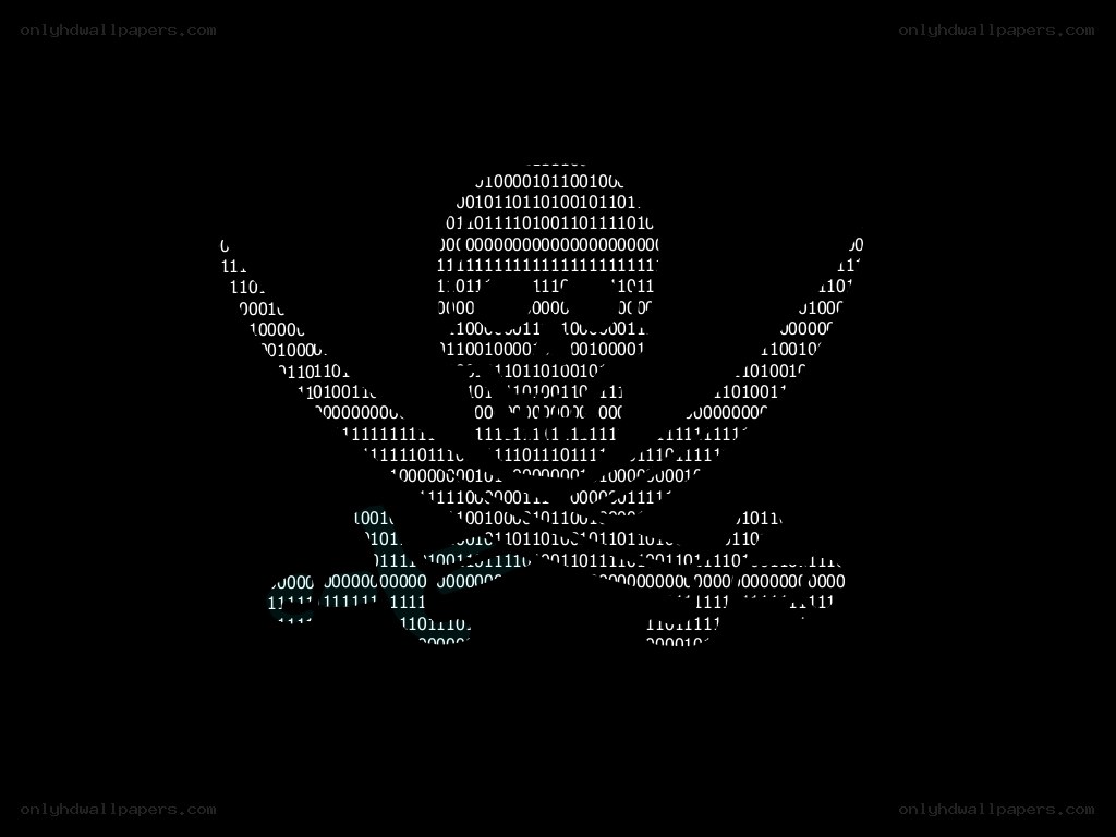 binary code skull logo
