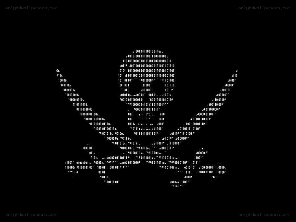 binary skull and crossbones