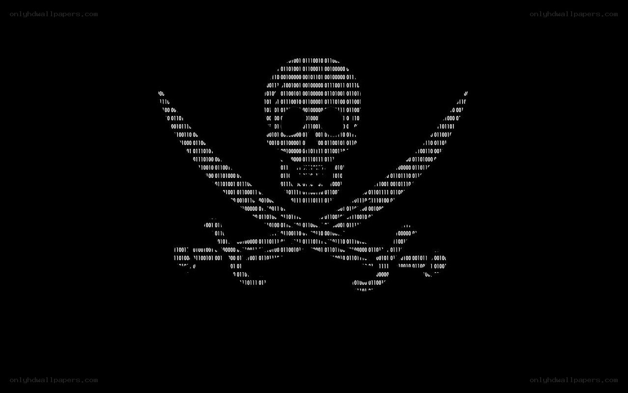 binary skull and crossbones