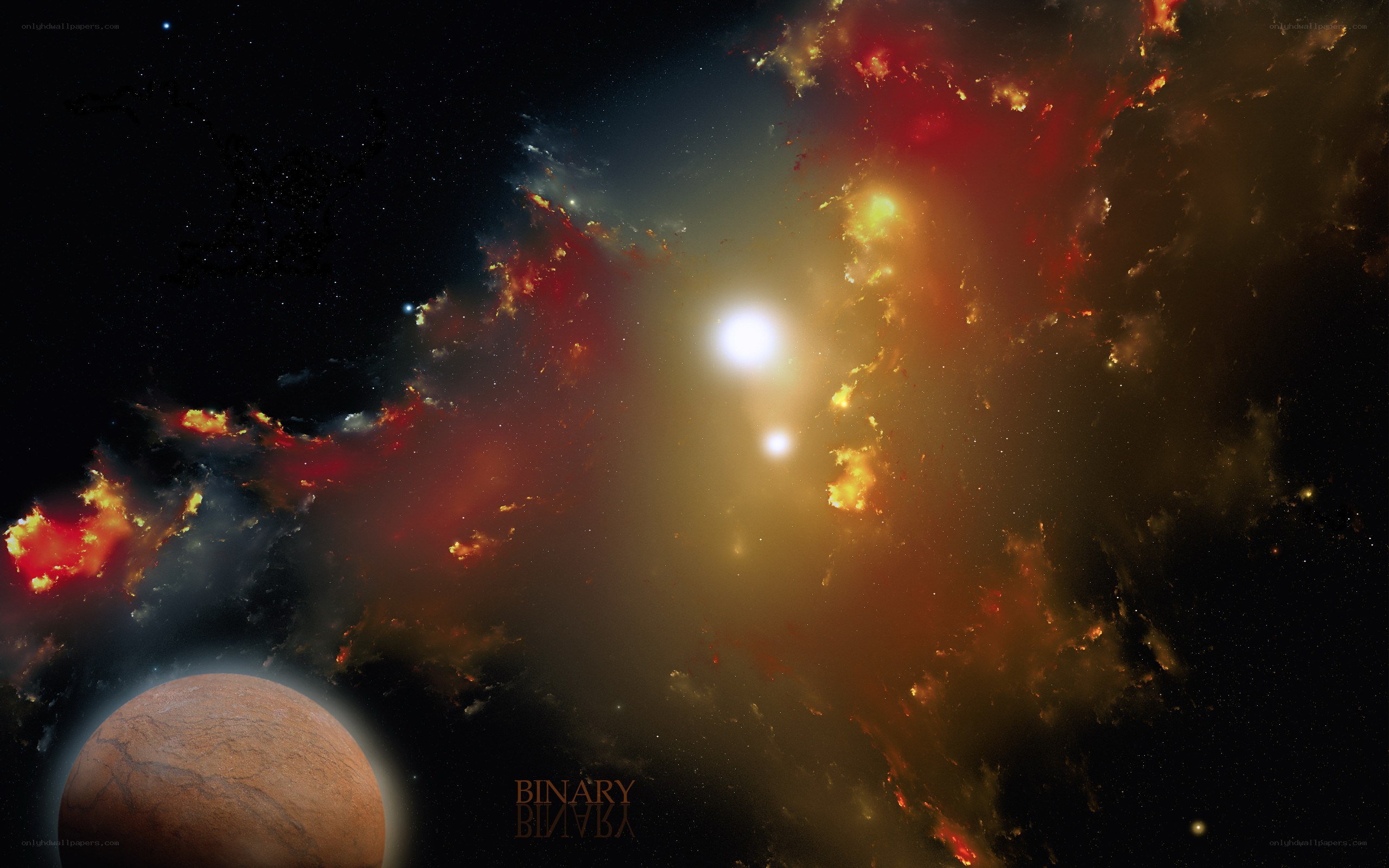 Binary star system with planet