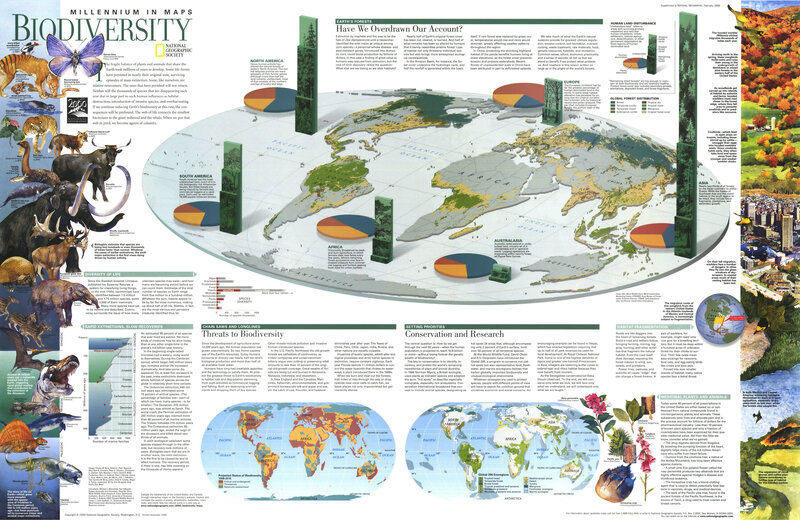 Biodiversity in the Millennium