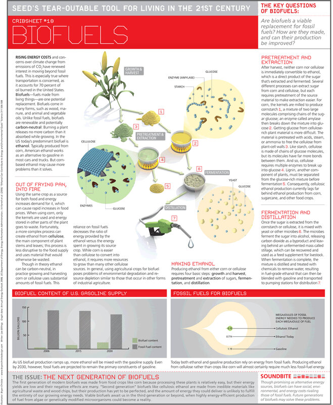 Biofuels Crib Sheet