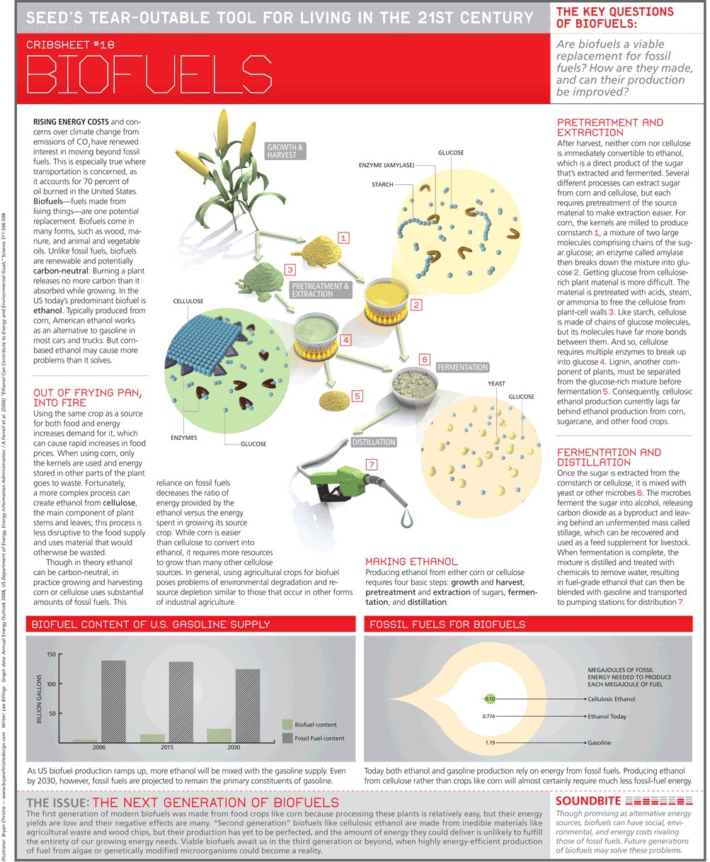 Biofuels Crib Sheet