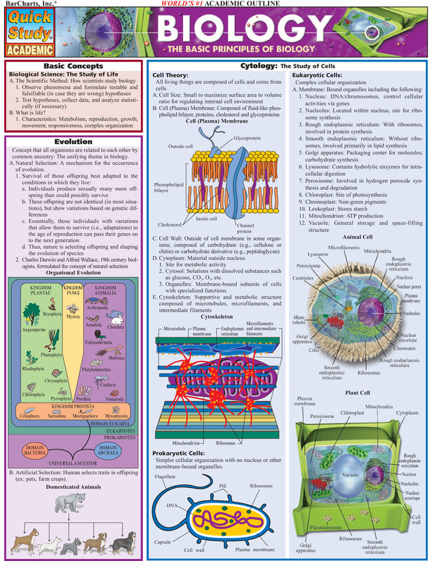 Biology Educational Chart