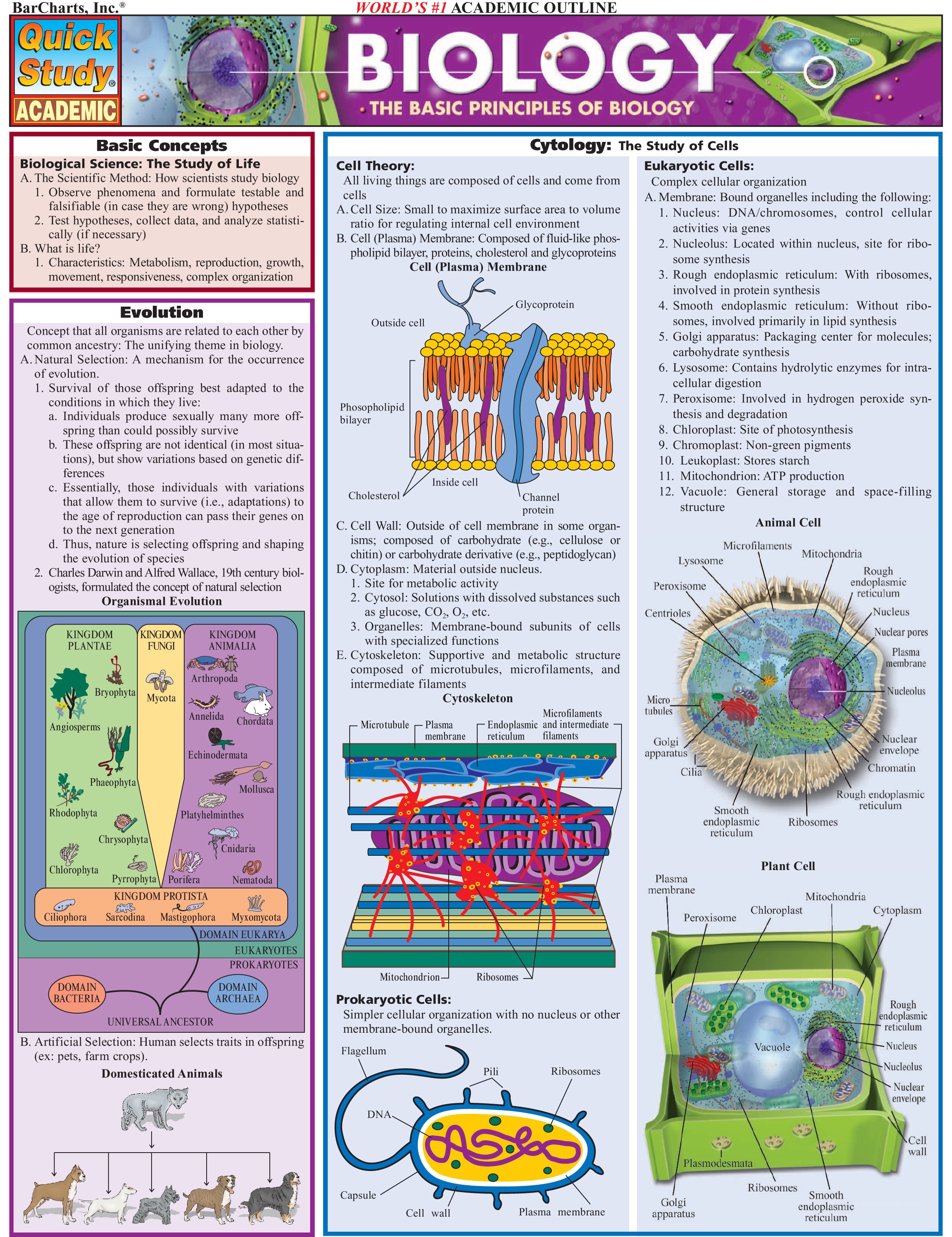 Biology study guide