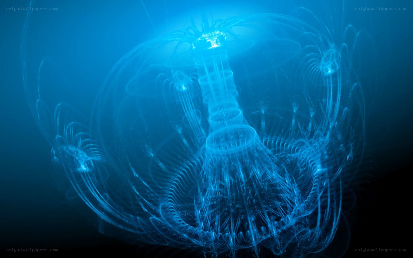 bioluminescent jellyfish