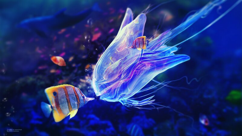 Bioluminescent Jellyfish — Blue, Serene, Night, Digital Art, Fish, Coral Reef