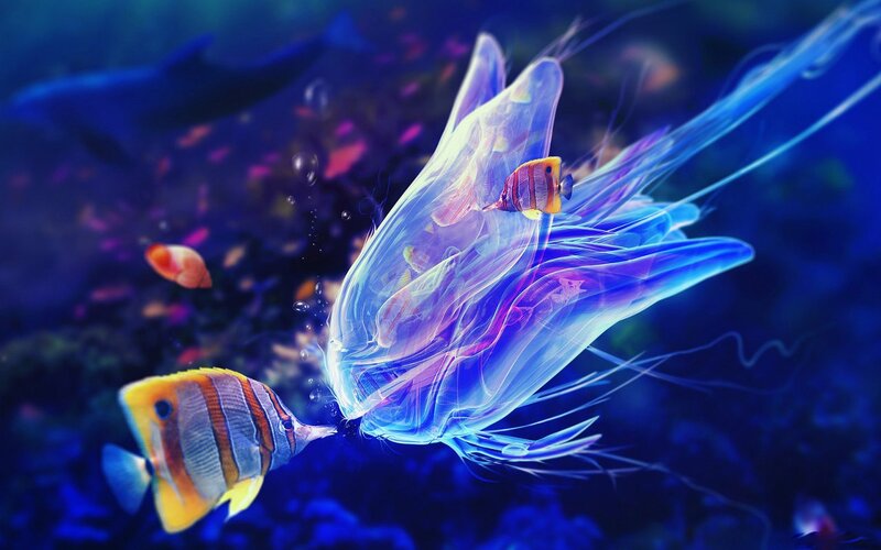 Bioluminescent Jellyfish — Blue, Serene