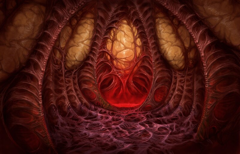 Bioluminescent Organ