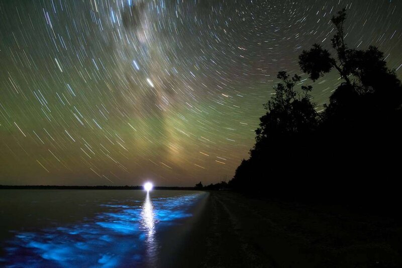 Bioluminescent Water