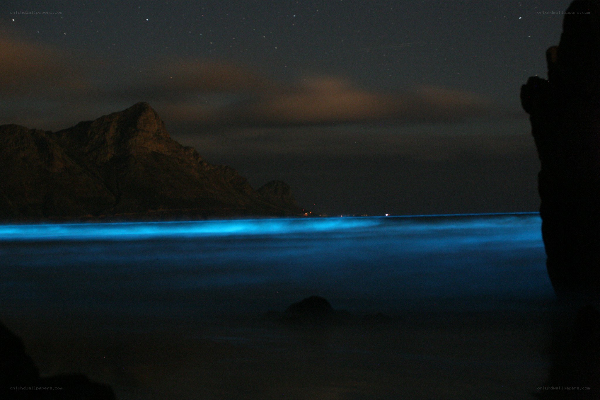 Bioluminescent waves at night